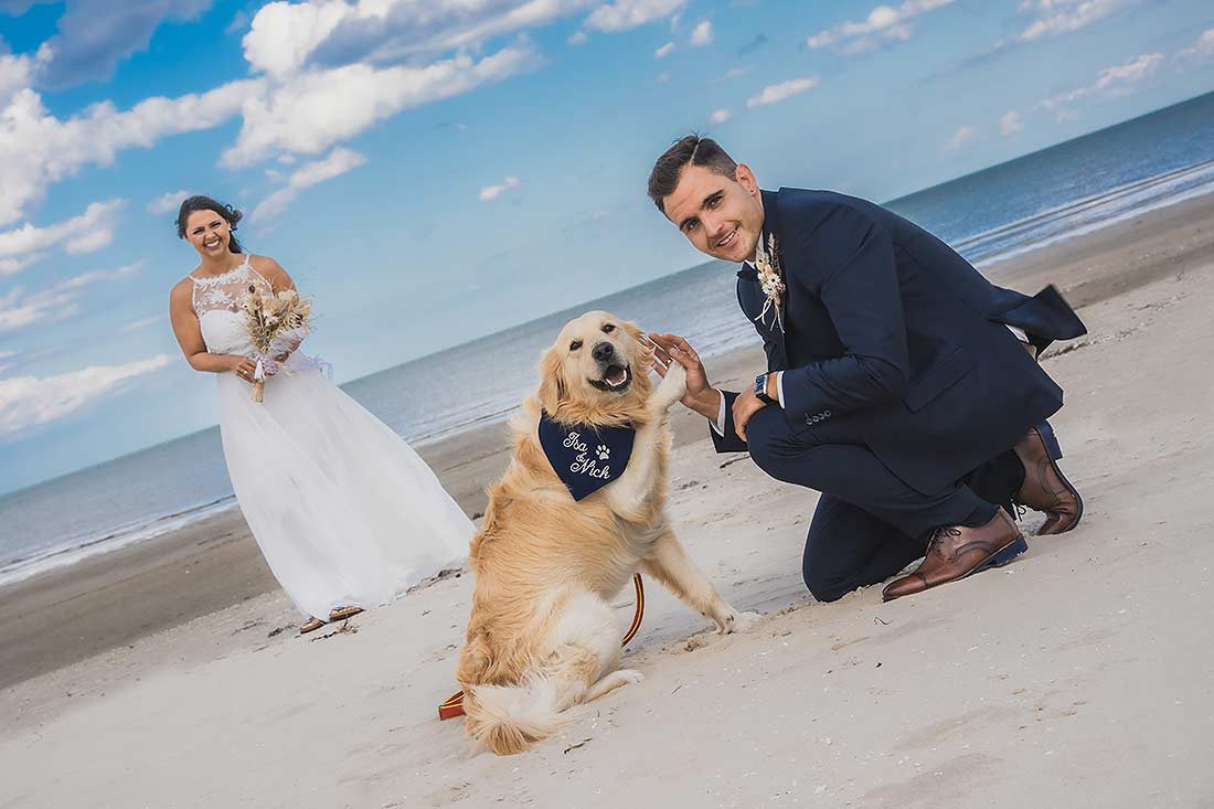 Brautpaar Strand Hund Usedom Hochzeit Hochzeitsfotograf